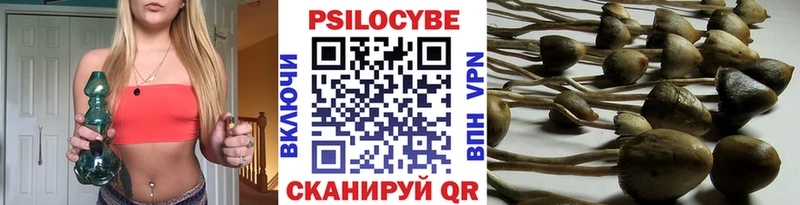Псилоцибиновые грибы Psilocybine cubensis  Бодайбо 